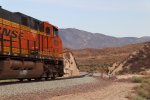 BNSF 8236